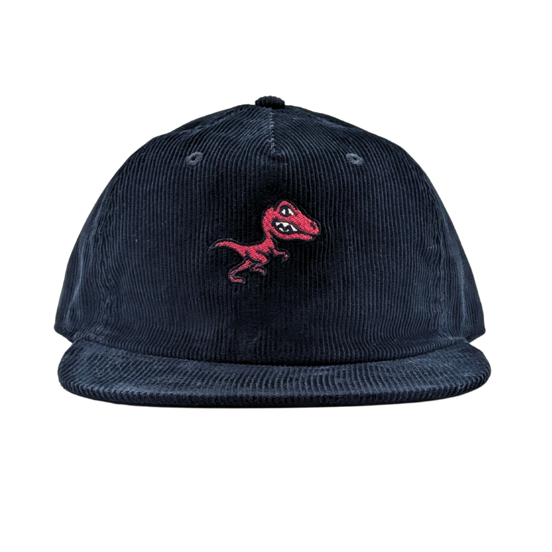 Raptors Corduroy Hat – Champagne Sundays